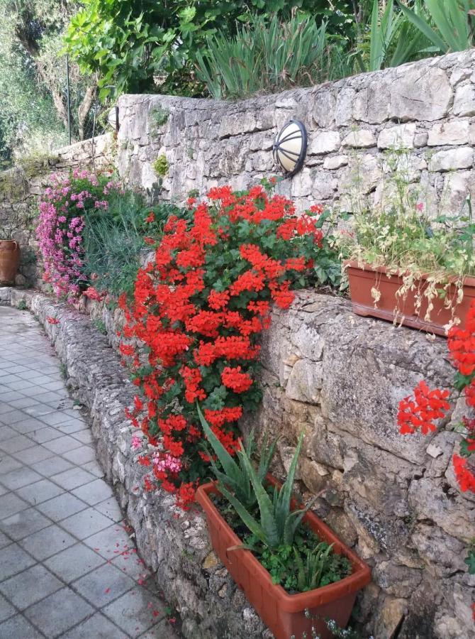 La Casa Di Antonella Βίλα Vico Del Gargano Εξωτερικό φωτογραφία